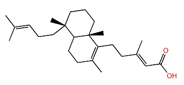 Dysideapalaunic acid